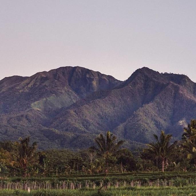 Tetebatu Mountain View Homestay ภายนอก รูปภาพ