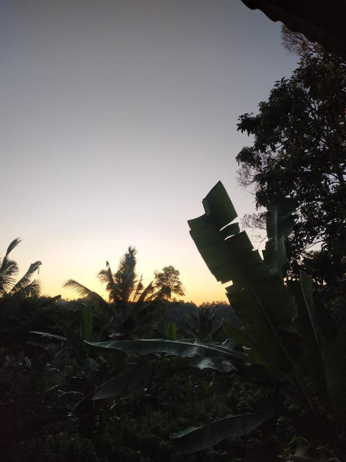 Tetebatu Mountain View Homestay ภายนอก รูปภาพ