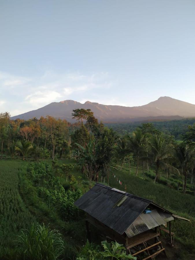 Tetebatu Mountain View Homestay ภายนอก รูปภาพ
