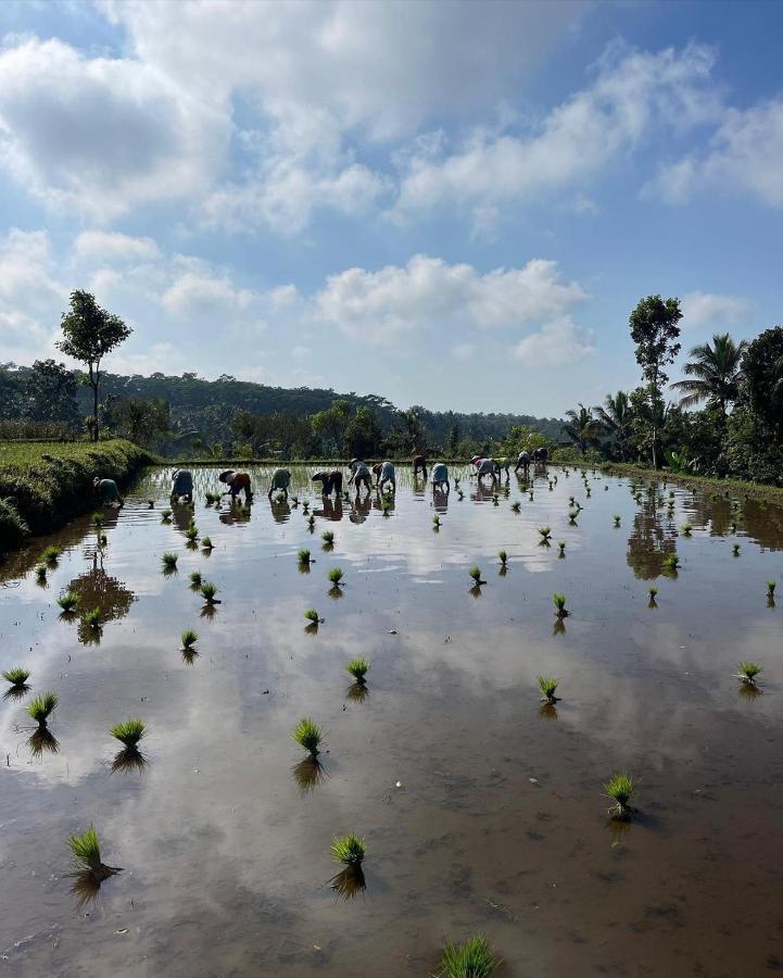 Tetebatu Mountain View Homestay ภายนอก รูปภาพ