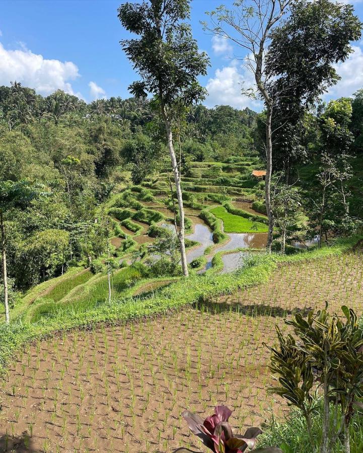 Tetebatu Mountain View Homestay ภายนอก รูปภาพ