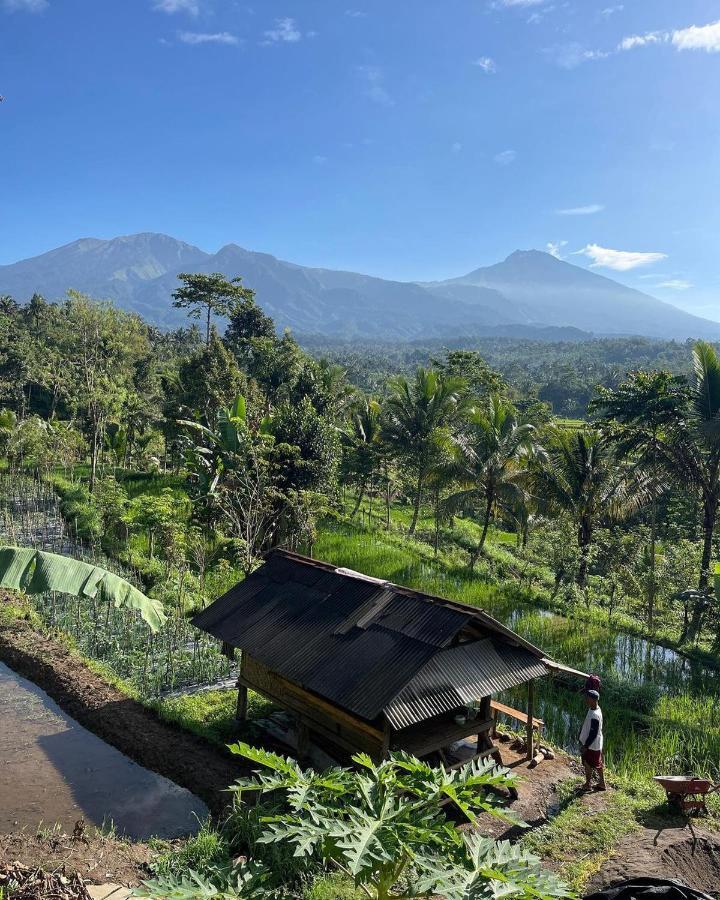 Tetebatu Mountain View Homestay ภายนอก รูปภาพ