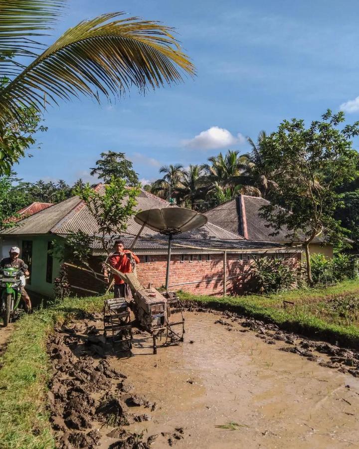 Tetebatu Mountain View Homestay ภายนอก รูปภาพ