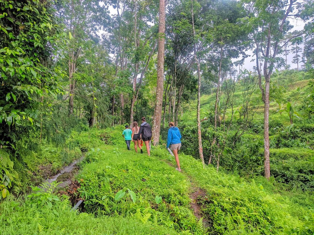 Tetebatu Mountain View Homestay ภายนอก รูปภาพ