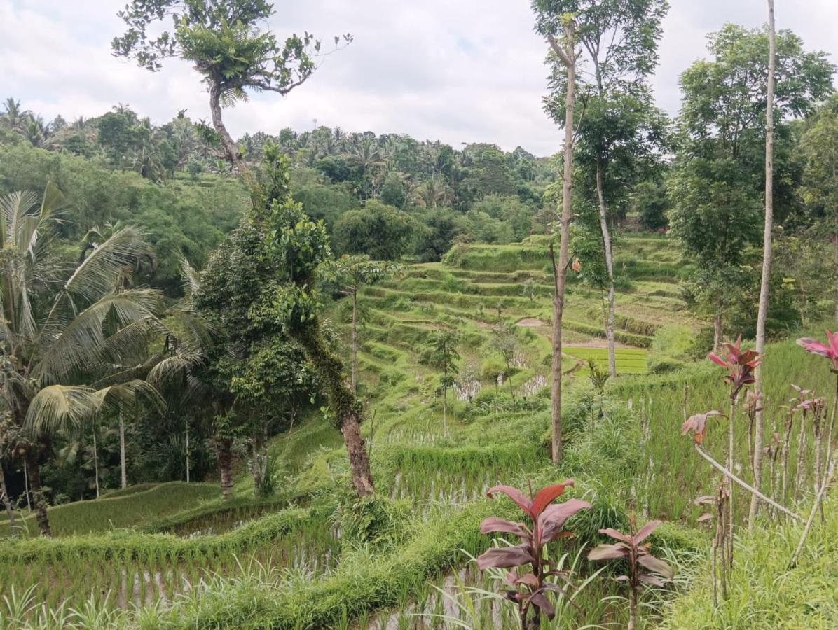 Tetebatu Mountain View Homestay ภายนอก รูปภาพ