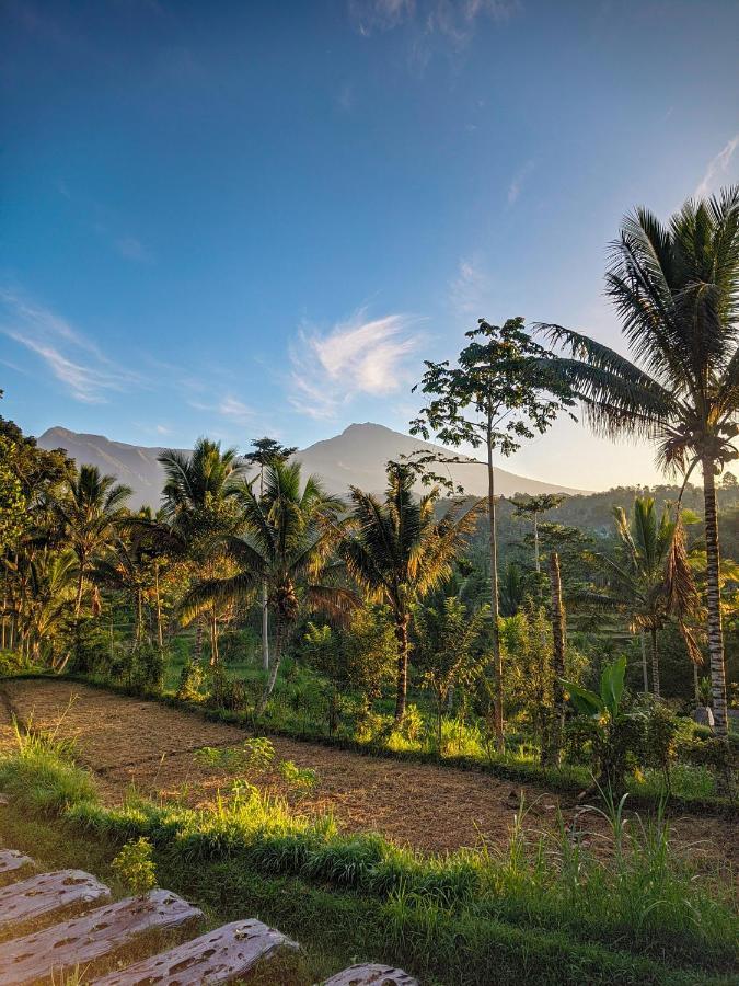 Tetebatu Mountain View Homestay ภายนอก รูปภาพ