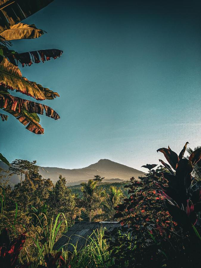 Tetebatu Mountain View Homestay ภายนอก รูปภาพ