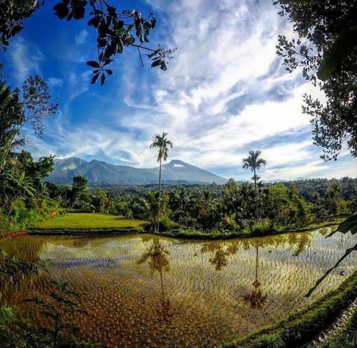 Tetebatu Mountain View Homestay ห้อง รูปภาพ
