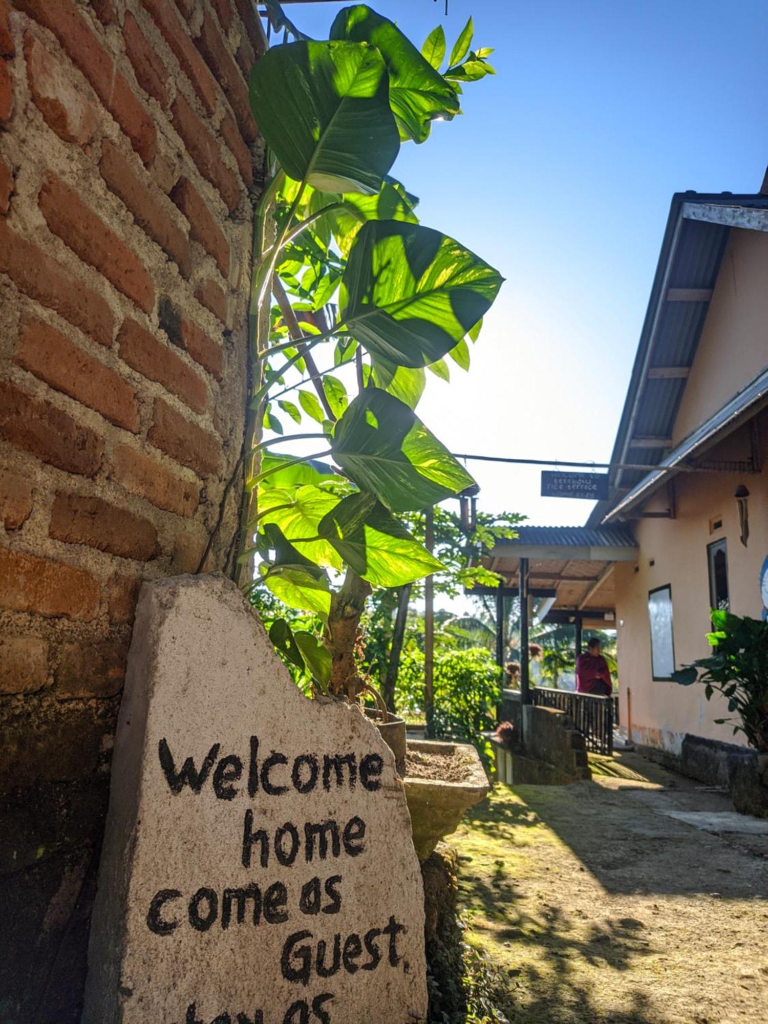 Tetebatu Mountain View Homestay ห้อง รูปภาพ